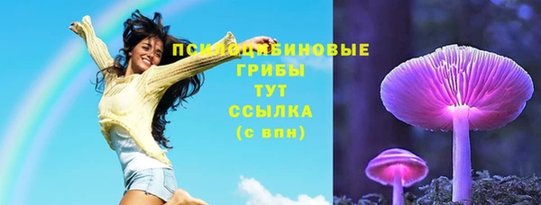 трава Богданович