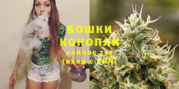 трава Богданович