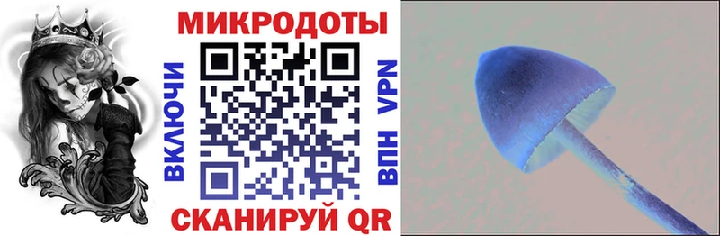 Купить  Красный Кут  Псилоцибиновые грибы ЛСД 